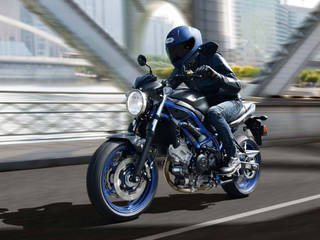 Suzuki SV650 Might Also Make It Down In A Cafe Racer Avatar