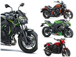 Kawasaki Z650 BS6: Same Price Other Options