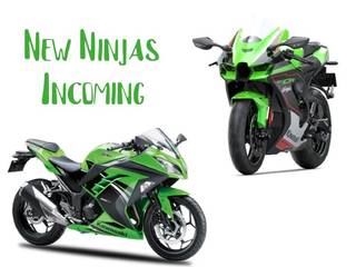 Two Kawasaki Ninjas Arriving Soon. Is The Ninja 300 BS6 One Of Them?