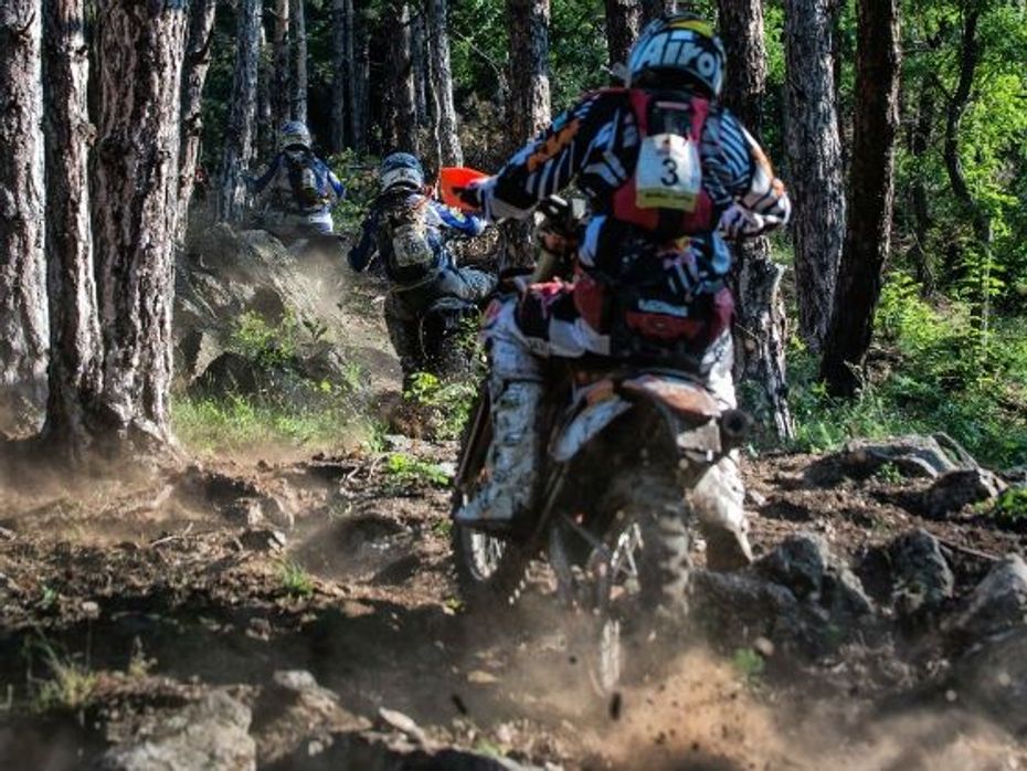 Riders making their way through the forest