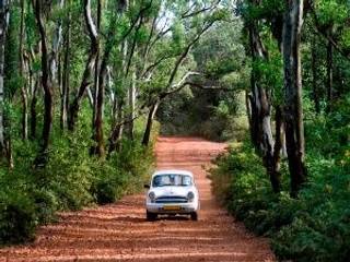 Hindustan Motors' sales up 96.2 per cent in April 2013