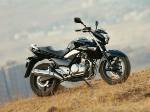 suzuki inazuma for sale