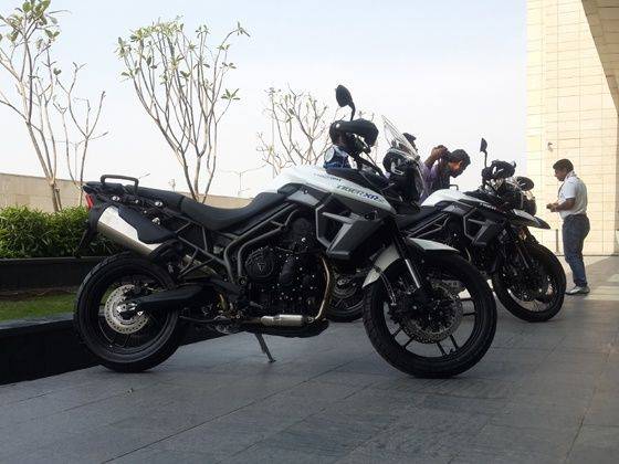 Tiger 800 2024 xrx olx