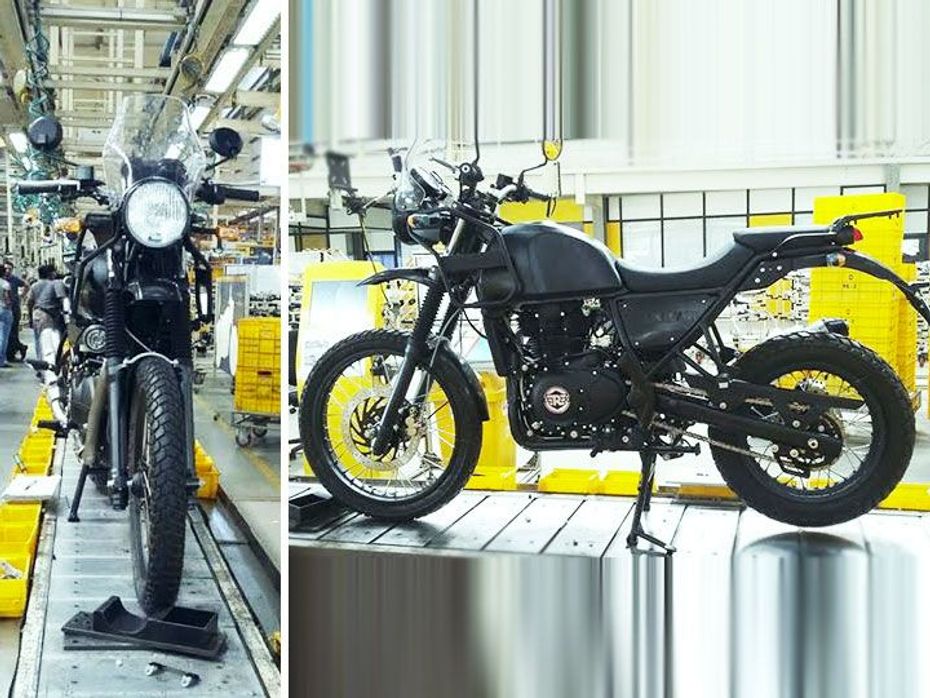 RE Himalayan spotted on assembly line