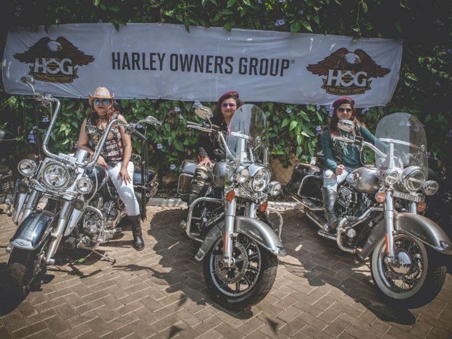 Ladies Of Harley