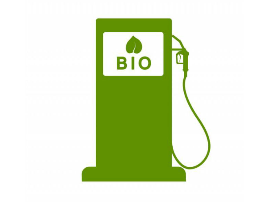 Biodiesel Can Be Used As Transportation Fuel: Bombay High Court