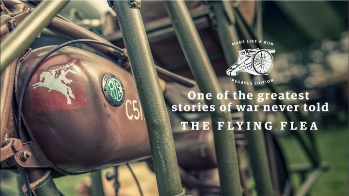 Flying Flea Flying Flea