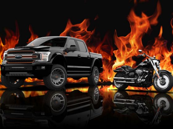 Harley Davidson Ford F 150 Pickup Truck Revealed Zigwheels