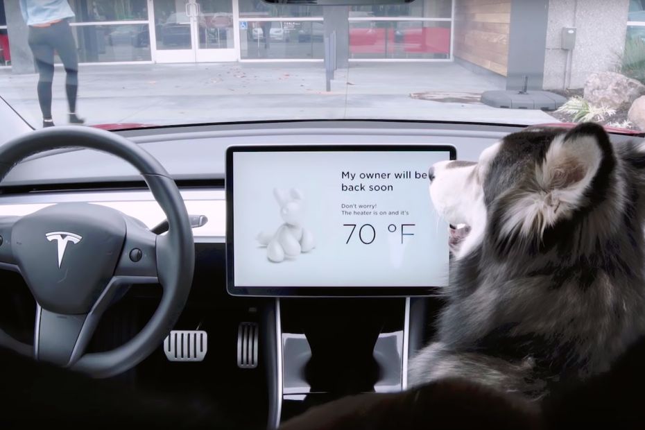 Tesla Dog mode