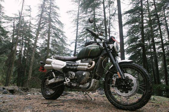 triumph 800 scrambler