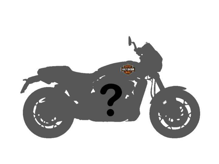 New Harley Davidson Street 500 bike details New Harley Davidson Street 500 bike details