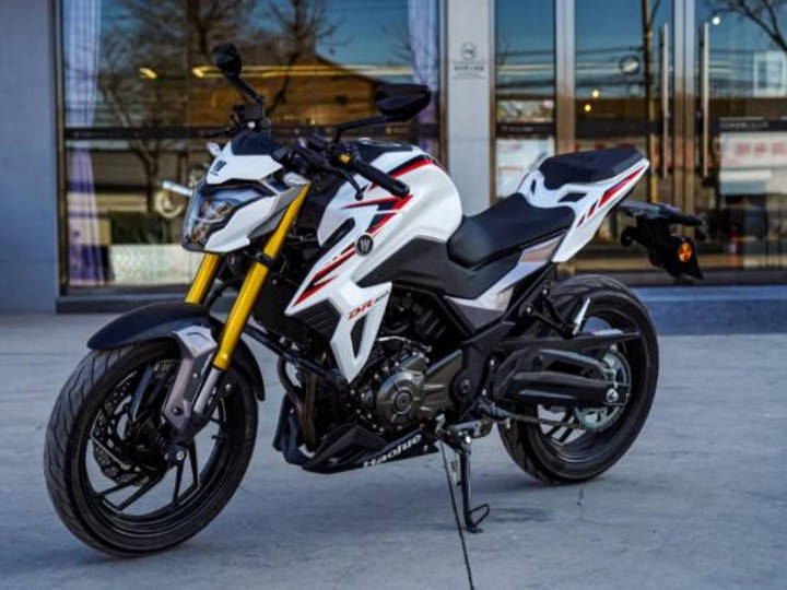 BREAKING Haojue DR300 (Suzuki GSXS300) Brochure Leaked. Full Specs