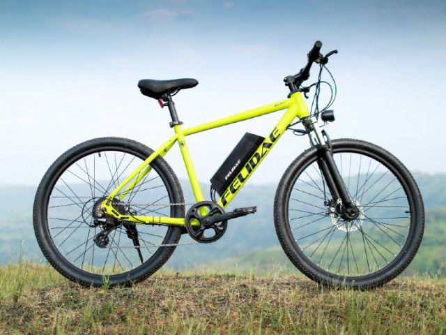 An E-Bike For Just Rs 24,500? Yes, Says Felidae Electric
