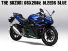 The Suzuki GSX250R Bleeds Blue…Again