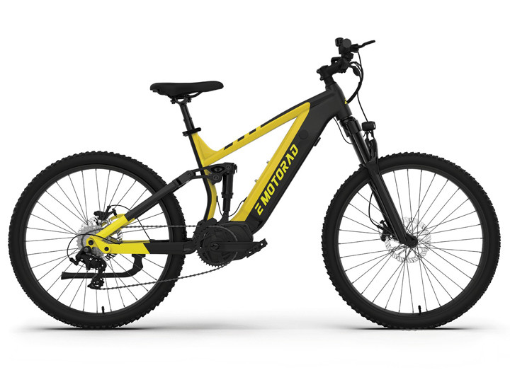 Types Of Ecycles Currently Available In India ZigWheels