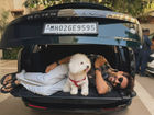Kartik Aaryan Flaunts His New Land Rover Range Rover Worth Nearly Rs 5 Crore With A Dash Of Humour