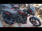 EXCLUSIVE: 2024 Bajaj Pulsar 125 Launched, Know Price, New Features And More