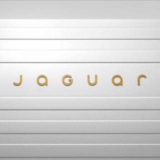 Jaguar Announces New Brand Identity And Logo, As It Transitions Into A Luxury EV Carmaker! Jaguar Announces New Brand Identity And Logo, As It Transitions Into A Luxury EV Carmaker!