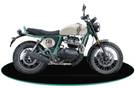 Royal Enfield Bear 650: Colours Explained