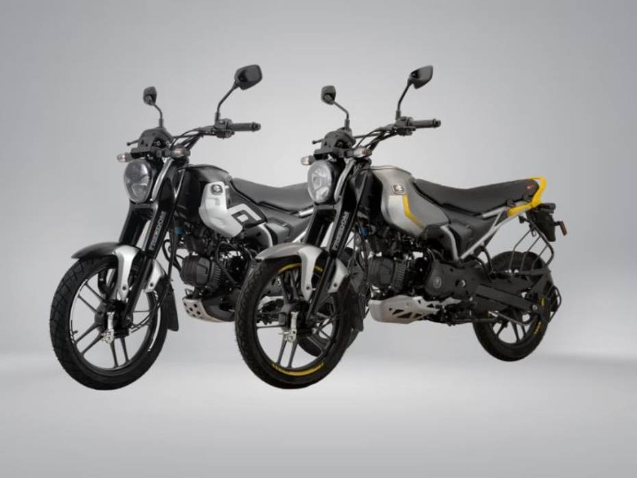 Bajaj Freedom 125 CNG Bike (base and mid variants)