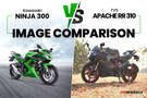 Kawasaki Ninja 300 vs TVS Apache RR 310: Image Comparison