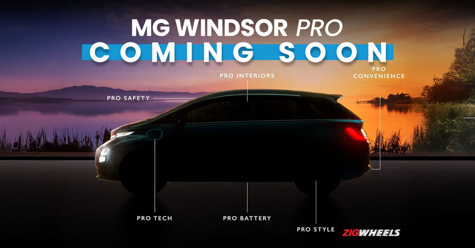 Windsor Pro