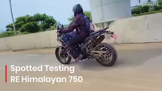 This Royal Enfield Himalayan 750: NEW VARIANT SPIED