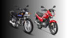 Hero Splendor Series: Family Explained