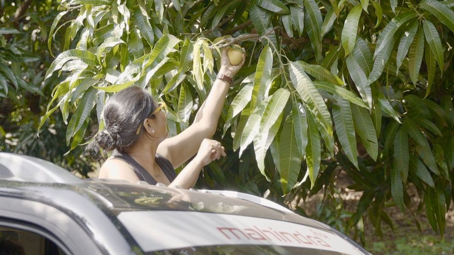 Mahindra Adventure Alphonso Escape