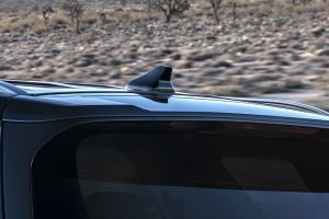 Antenna view Image of Palisade