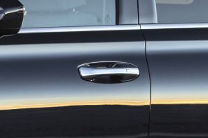 Door handles Image of Palisade
