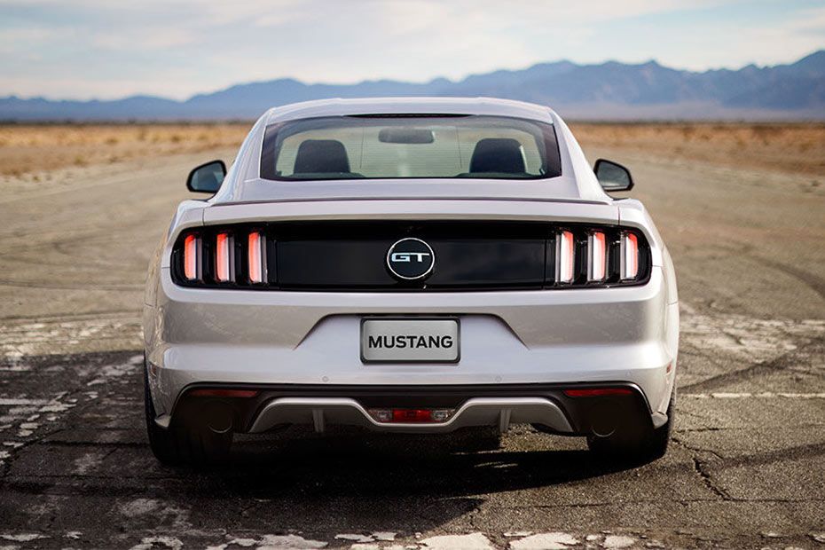 Rear back Image of Mustang