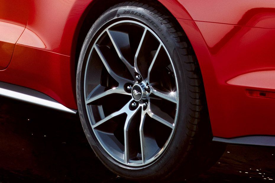 Wheel arch Image of Mustang