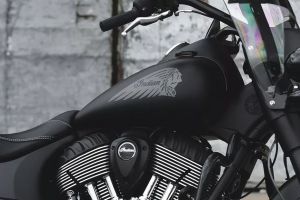 Brand Logo & Name of Springfield Dark Horse