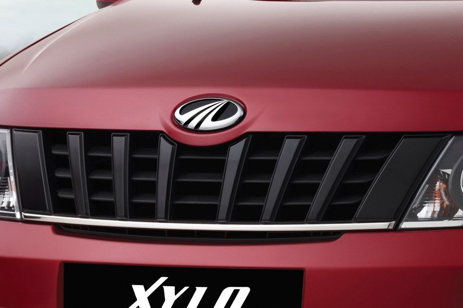 Bumper Image of Xylo