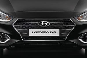 Bumper Image of Verna