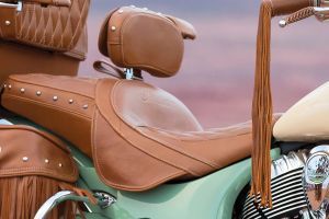 Back Rest View of Roadmaster Classic