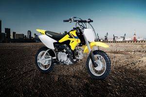 Suzuki drz 50