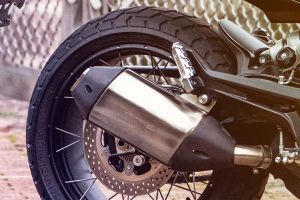 Exhaust View of Leoncino 800