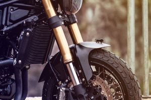 Front Mudguard & Suspension of Leoncino 800