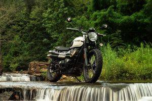 triumph street scrambler price