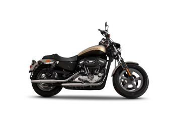 Harley Davidson 1200 Custom BS6