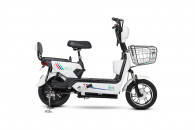 essel electric bike