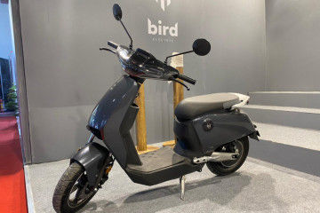bird bikes