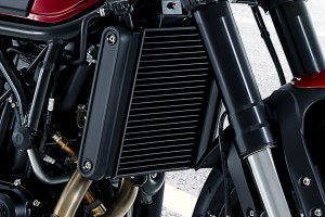 Cooling System of Leoncino 500