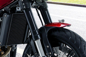 Front Suspension View of Leoncino 500