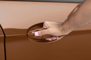 Door handles Image of EcoSport