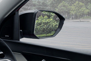 Side mirror rear angle Image of Hector