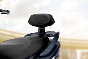 Back Rest View of Hawk