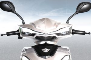 Front Indicator View of Xeniaa